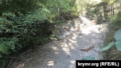 Высохшее русло реки Танасу у села Кирпичное Белогорского района