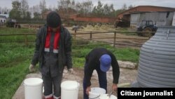 Россияда чорвачилик билан шуғулланаётган ўзбек мардикорлари.