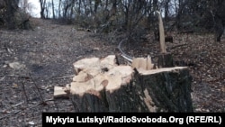 Иллюстративное фото.