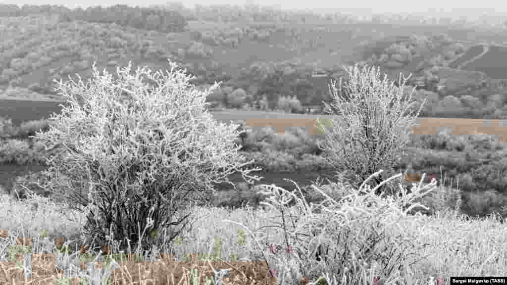 Як виглядає зимова Клинівка в густому тумані &ndash; дивіться у фоторепортажі​