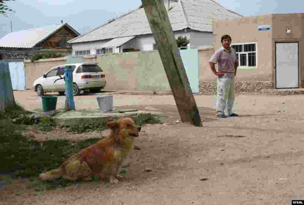 Ысык-Көлгө эс алууга жөнөйлү  #18