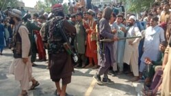 افراد گروه طالبان در شهر جلال آباد