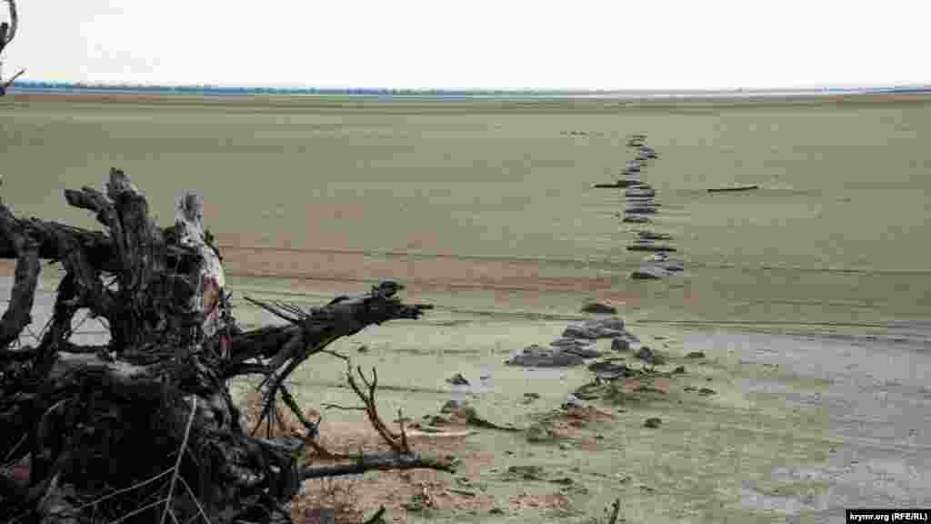 Цю доріжку з каміння, мабуть, спеціально виклали, коли в озері ще була вода