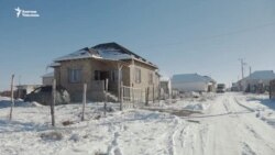 "Камчыбек Ташиевден жардам сурайм". Зомбулукка кабылган Мырзайымдын арыз-муңу  