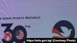 Иллюстрациялык сүрөт.