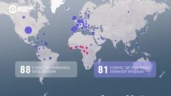 "Забытая тропическая болезнь". В США объявили чрезвычайную ситуацию из-за оспы обезьян 
