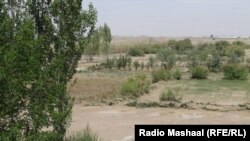 آرشیف - بارش باران در ولایت پکتیکا