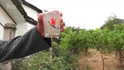 Bu kənddə camaat təmizlənməmiş çay suyu içməyə məcburdur