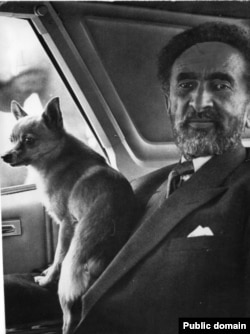 Та самая любимая собачка Хайле Селассие по кличке Лулу. Визит в Канаду. Апрель 1967 года