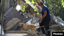Armenian -- A rescuer and a sniffer dog search through the rubble of an apartment building severely damaged by an explosion, Yerevan, August 26, 2020.