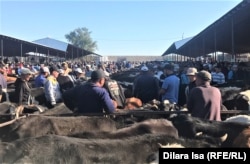 Түркстандын Сайрам районундагы мал базар. Сентябрь, 2021-жыл.