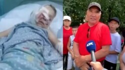 Нападение собак на ребёнка. Что произошло в Алматинской области?