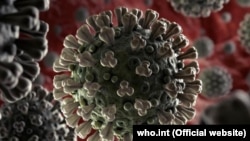 Иллюстрациялык сүрөт.