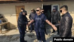 Кармалган шектүү жаран