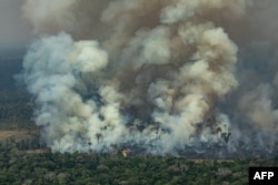 Пожар в лесах Амазонки. Бразилия. 24 августа 2019 года.