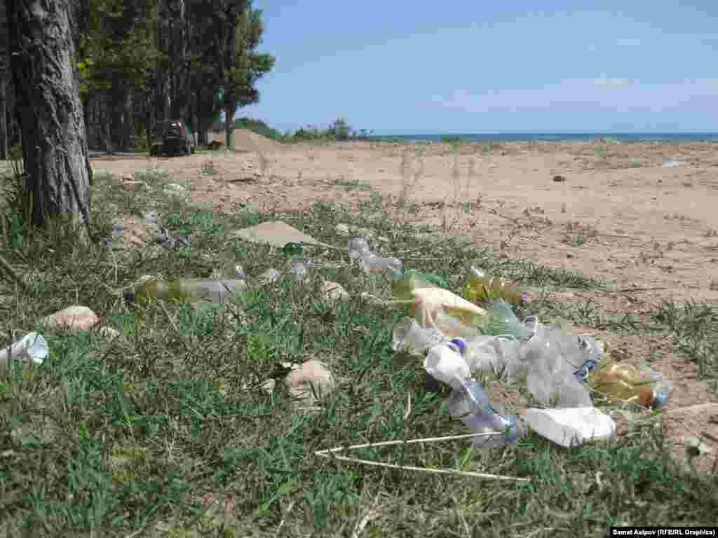 Жумушту айылдан өз ыктыяры менен барган активисттер аткарат. Алар жергиликтүү бийлик, экологдор жана башка тиешелүү кызматтар пансионаттардан тышкаркы жээкте иш алып барууну такыр токтотконун айтып нааразы.