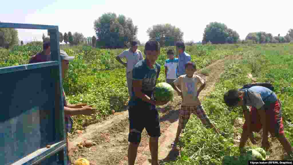 Төө-Моюнда дарбыз, коон, бадыраң пахта жана жүгөрү негизги эгин катары эсептелет.
