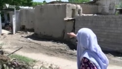 Осебдидагони сел дар Кӯлоб шикоят доранд, мақомот арзёбӣ мекунанд