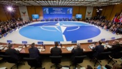 Історична Свобода | 70-річчя НАТО: від Холодної війни до стабілізації Центрально-Східної Європи