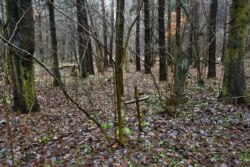 Ад могілак засталіся тры магілы