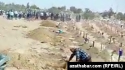 Türkmen gonamçylygynda düşürilen wideodan alnan surat. Iýul, 2020.