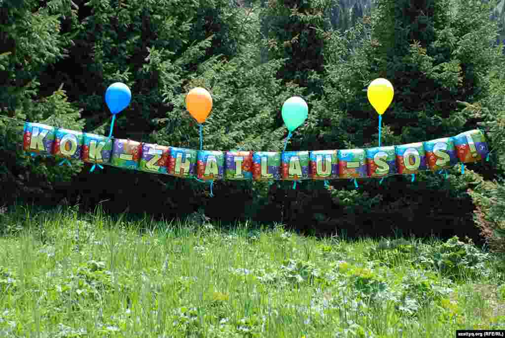 К ближайшим елкам, которые могут быть вырублены для строительства инфраструктуры горнолыжного курорта, была привязана растяжка с надписью:&nbsp;&laquo;Kok-Zhailau-SOS&raquo;.