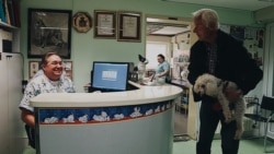 Крунослав Хрвачич у власній ветеринарній клініці