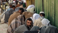 آرشیف، شماری از معتادین مواد مخدر