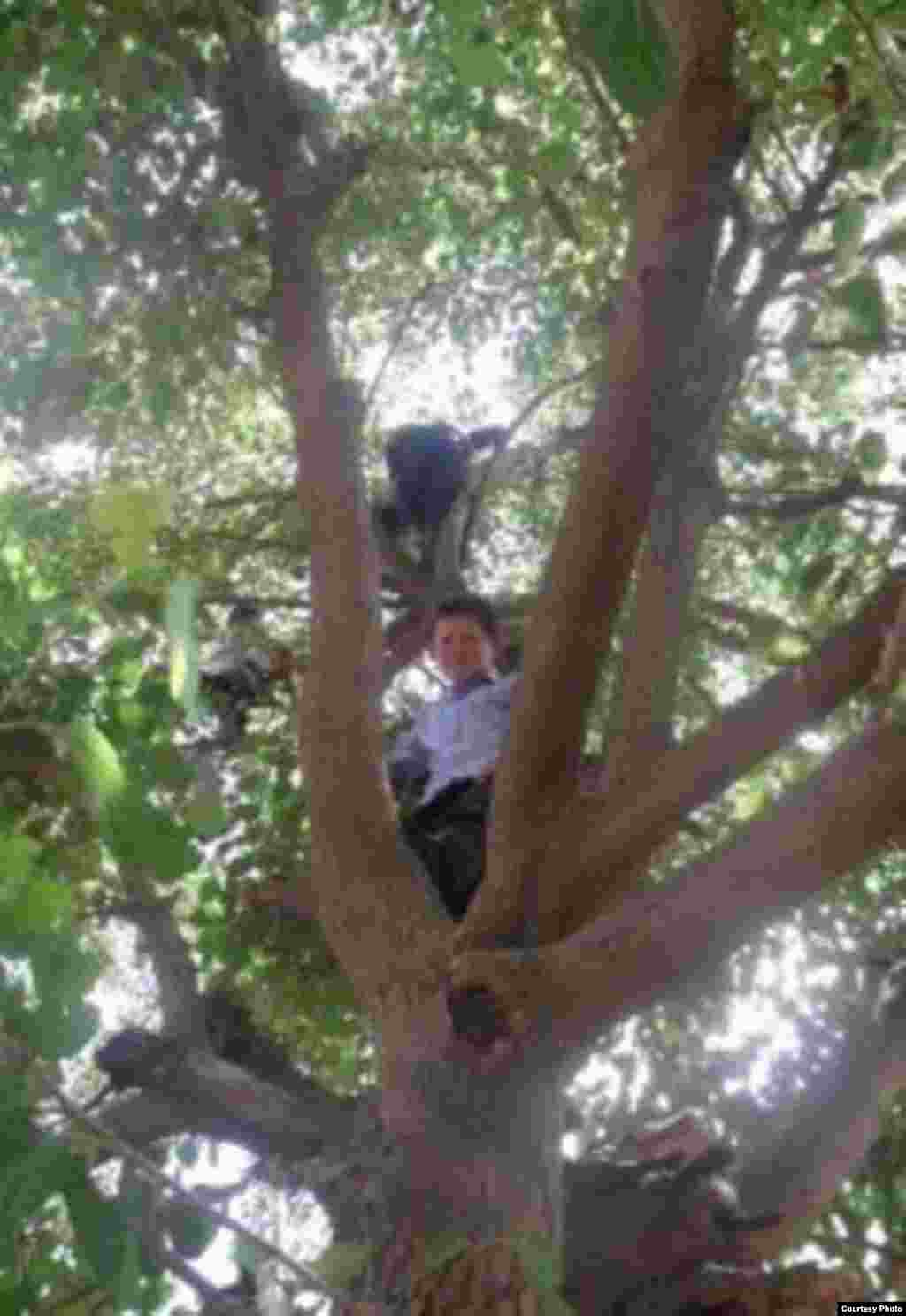 Местная детвора  