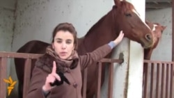 Соли 2014 - соли асп