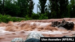 Иллюстрациялык сүрөт.