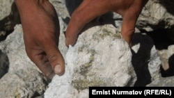 Заводдун жанындагы таштар