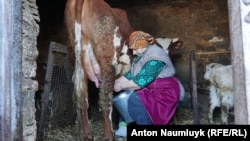 Мати Володимира Балуха Наталя