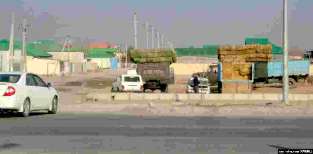 Çoganly şäherçesiniň köçelerinde iýmlik ot satýan sürüjiler