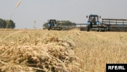Уборка урожая в Казахстане.