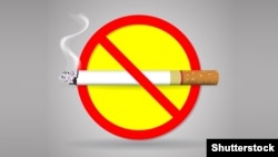 Иллюстрациялык сүрөт. 