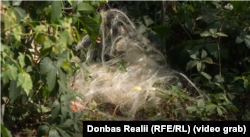 Котушка з оптоволокном на околицях Костянтинівки