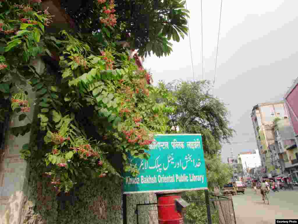 Общественная библиотека Худа Бахш. Патна, 25 августа 2013 года.