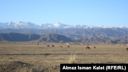 Кочкор району