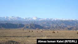 Кочкорский район Нарынской области.