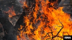 آرشیف - عکس جنبه تزئینی دارد