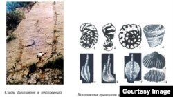 Изи пои динозаврҳо дар Ширкент