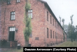 «Бандера-блок» №17