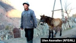 Элеттик карыя