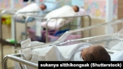 Иллюстрациялык сүрөт.