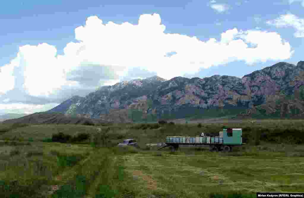 Аары толук тамактаныш үчүн гүл өсүмдүгү көп өскөн талаага бал челектерди жайгаштыруу керек. Учурда чөп чабылгандыктан Нарындан Ат-Башыга аарыларын көчүрүүнү пландап жатканын айтат.