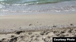 Берег Каспийского моря