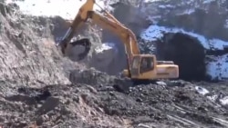 ​Туруктуулукту эңсеген Турук кени