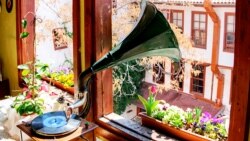 Звук, окружающий нас