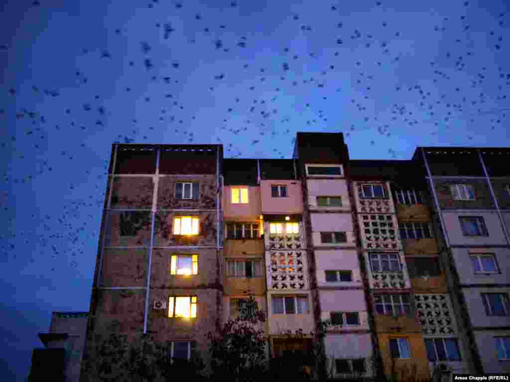 Стая ворон над хрущевкой в Приднестровье, отколовшемся от Молдовы регионе. При строительстве таких домов говорили, что срок их эксплуатации составит 25 лет. Четверть века давно минуло, но здания по-прежнему стоят &ndash; как мрачное напоминание тех неоднозначных времен.&nbsp;